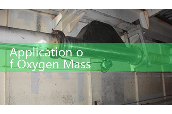 Oxygen mass flow meter